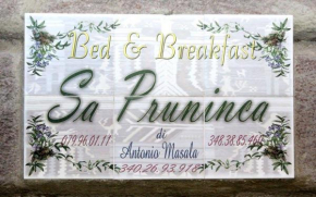 Sa Pruninca